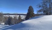 Randonnée Raquettes à neige La Pesse - L'Embossieux-La Croix des couloirs-La Pesse - Photo 3