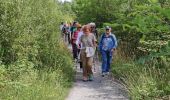 Randonnée Marche Lourenties - LOURENTIES. RS PN - Photo 5