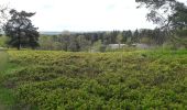 Tour Zu Fuß Meezen - Wanderroute Waldhütten - Photo 10