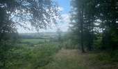 Tocht Stappen Rendeux - Cheoux  - Photo 14