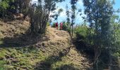 Trail Walking Aillon-le-Vieux - BAUGES: DENT DE ROSSANAZ - Photo 13