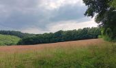 Trail Walking Theux - entre la ferme st Remacle et Hodbomont - Photo 4