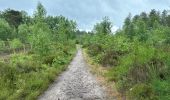 Trail Walking Westerlo - Westerlo Averbode 25,7 km - Photo 15