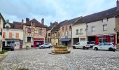 Tour Wandern Joigny - Joigny - Villeneuve sur Yonne et 2/3  - 35 km IBP 97 - Photo 17