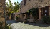 Tour Wandern Saignon - Saignon, Auribeau, Castellet & Rocher des Abeilles - Photo 4