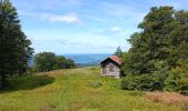 Tour Wandern Büssing - Circuit col de bussang / tête de la Bouloie - Photo 12