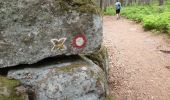 Trail Walking Ottrott - Le circuit nord et sud du Mur Païen - Photo 2