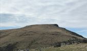 Trail On foot Banks Peninsula Community - Te Ara Pātaka - Photo 4