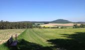 Tour Zu Fuß Naumburg - Naumburg, Rundweg 1 - Photo 1