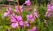 Trail Walking Gresse-en-Vercors - Le Grand Veymont - Photo 1