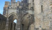 Tour Wandern Carcassonne - Carcassonne Cité  - Photo 11