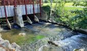 Tour Wandern Origny-Sainte-Benoite - Origny Sainte Benoite - Photo 4