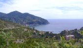 Trail On foot Levanto - Vallesanta - Monte delle Streghe - Colletto - Photo 7