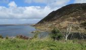 Tour Zu Fuß Westport-Belmullet Municipal District - Causeway Loop Walk - Photo 10