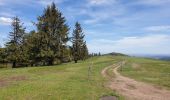 Trail Walking Muhlbach-sur-Bruche - Les chaumes de Grendelbruch - Photo 4