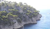 Trail Walking Cassis - XX-Cassis-Les Calanques-Miou-Pin-En Vau - Photo 18