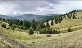 Randonnée A pied Gheorgheni - Pasul Pângărați – Poarta Lapoșului – Curmătura Pinticului (blue stripe) - Photo 6