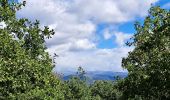 Tour Wandern Vimenet - les crêtes de Vimenet - Photo 15