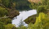 Trail Walking Fayence - St Paul en Forêt - Lac de Méaulx - Pont de l'Endre - Piste Colle Douce - Photo 2