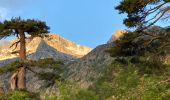 Tour Wandern Ghisoni - Refuge de Capannelle-refuge du col de Verde - Photo 10