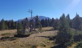 Trail Walking Saint-Agnan-en-Vercors - Pas des chatons  depuis la coche - Photo 4