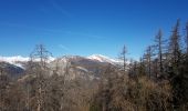 Tour Schneeschuhwandern Colmars - LAUPON 23.02.19 - Photo 3