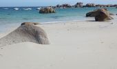 Trail Walking Kerlouan - le littoral de Kerlouan  - Photo 5