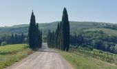 Randonnée Marche Monteroni d'Arbia - CR_Francigena_DG_43_Monteroni-D-Arbia_San-Quirico-D-Orcia_20230526 - Photo 13