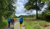 Randonnée Marche Gedinne - Gedinne Croix Scaille 23,8 km - Photo 4