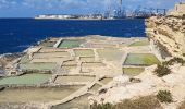 Excursión Senderismo Marsaxlokk - MALTE 2024 / 05 Marsaxlokk to Marsaskalla - Photo 13