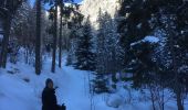 Randonnée Raquettes à neige Orsières - Champex Lac - Arpette - Champex Lac - Photo 4