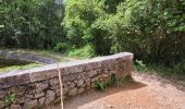 Trail Walking Saint-Cézaire-sur-Siagne - Le canal et la rivière de la Siagne  - Photo 1