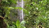 Randonnée Marche nordique Capesterre-Belle-Eau - Chute  - Photo 4