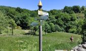 Tocht Stappen Labastide-sur-Bésorgues - la Bastide sur bezorgie - Photo 6