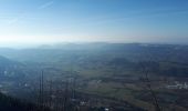 Trail Walking Saint-Christophe-sur-Guiers - La Ruchere - Col de l'Allienard - Photo 1