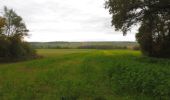 Tour Wandern Saint-Aubin-Celloville - 20211106-St Aubin Celloville - Photo 8