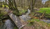 Tour Wandern Viroinval - Balade à Le Mesnil - Viroinval - Photo 9