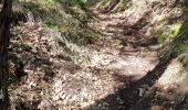 Trail Walking Alleyras - balade en J'ai vos dents - Photo 3