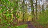 Randonnée Marche Thuin - Balade à l'abbaye d'Aulne - Photo 12