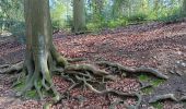 Tocht Stappen Luik - tour Botanique - Photo 3