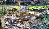 Randonnée Marche Saint-Zacharie - Sources des Nayes - Foret du defens - Pas de Peyruis - Pont d'Angèle - Notre Dame d'Orgnon - Pont d'Orgnon - Photo 8