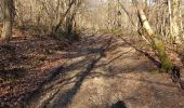 Trail Walking Dinant - Randonnée - Photo 4