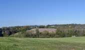 Tour Wandern Welkenrath - suuntoapp-Walking-2026-04-25T08-06-02Z - Photo 5