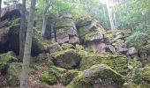 Trail Walking Gueberschwihr - Boucle Gueberschwihr Schauenberg - Photo 4