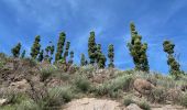 Tour Wandern Tejeda - Cuevas del Caballero (Gran Canaria) - Photo 6