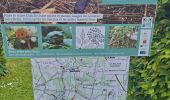 Trail Walking Saint-Pierre-en-Auge - Le Billot  - Photo 4