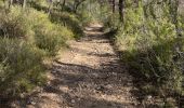 Tour Wandern La Roque-d'Anthéron - PF-La-Roque-d'Anthéron - La Chaîne des Côtes - Reco - Photo 4