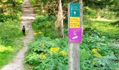 Trail Walking Autrans-Méaudre en Vercors - Le Gros Martel par le trou de L'enfer - Photo 11