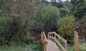 Trail Walking Lhez - Lhez-Les ponts G4 fait en 2021 - Photo 3