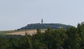 Tocht Stappen Colombey-les-Deux-Églises - Colombey les deux eglises - Photo 4